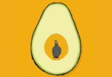 The Hotel Avocado (2024): Bob Mortimer’s Surreal Sequel That’s Ripe with Absurdity