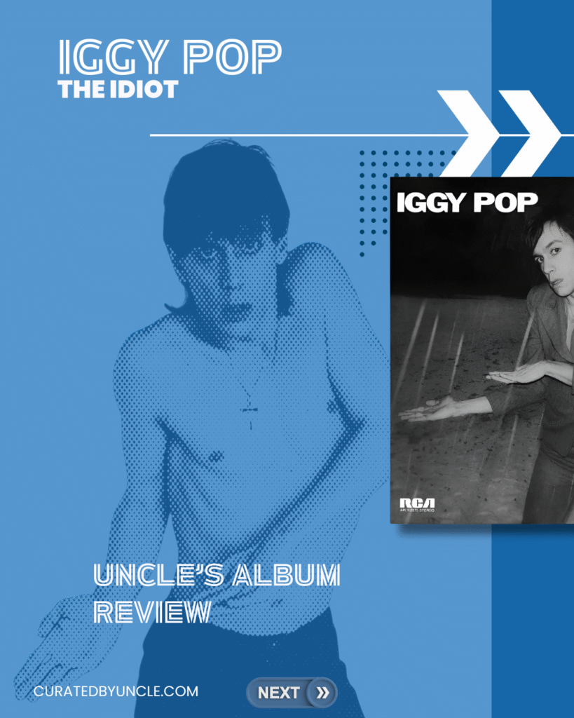 stylised image of iggy pop with the album cover for the idiot