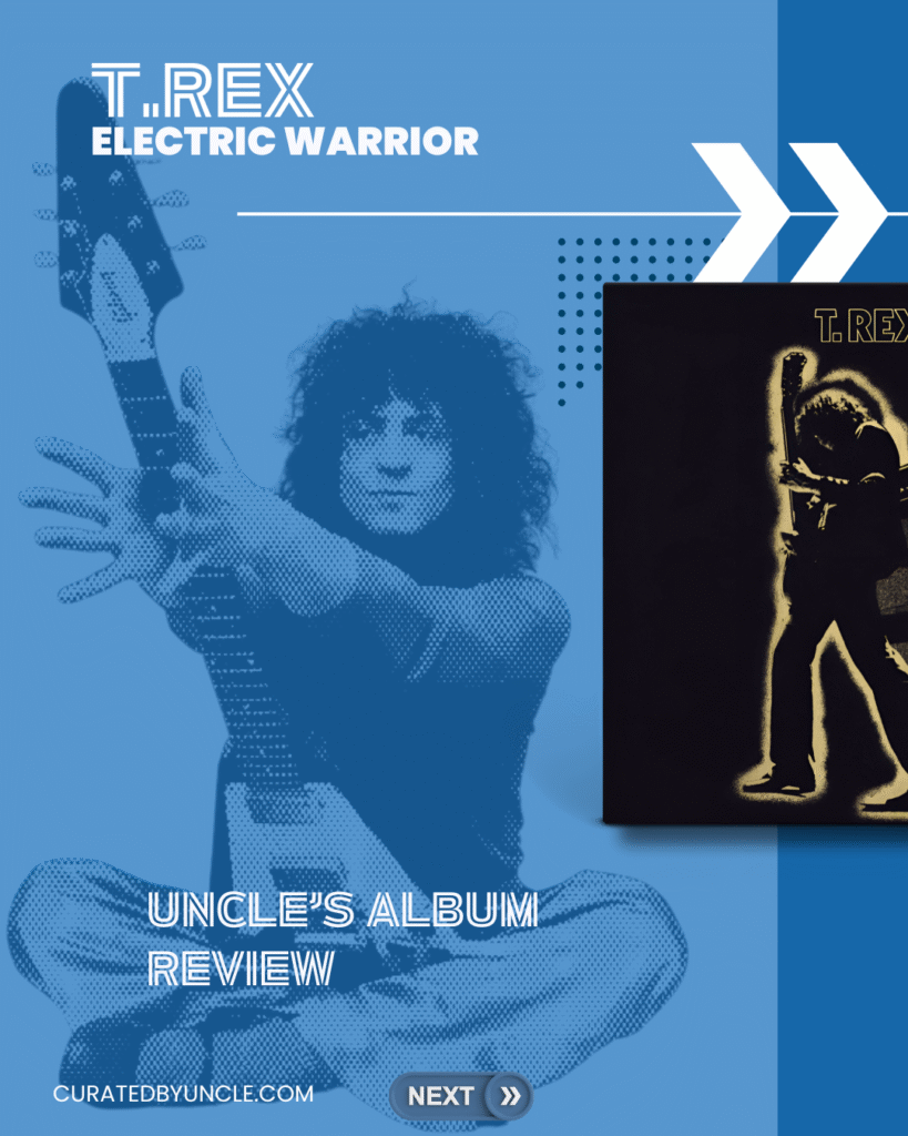 stylised image of marc bolan from the band t rex with the album cover for the album electric warrior