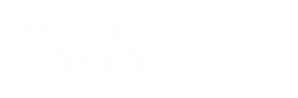 Curated By Uncle